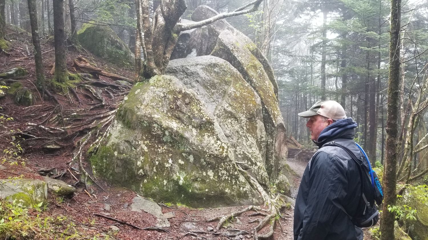 Abrahms Bald Hike 